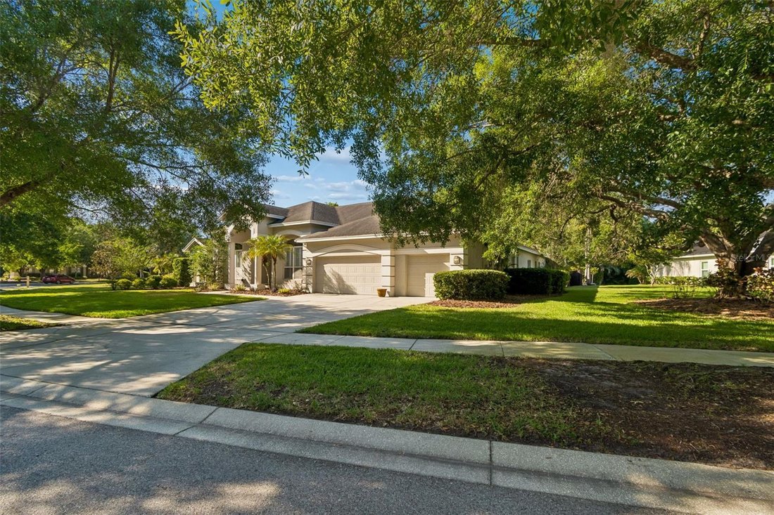 House in Land O' Lakes, Florida, United States 5 - 17893936