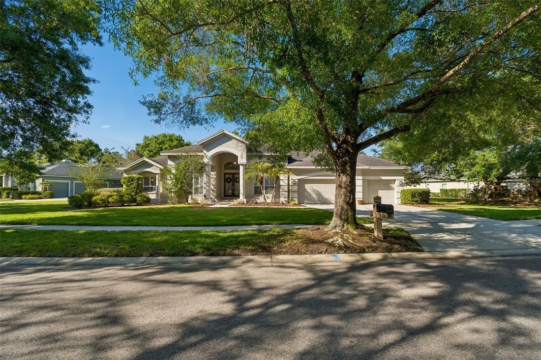House in Land O' Lakes, Florida, United States 4 - 17893936