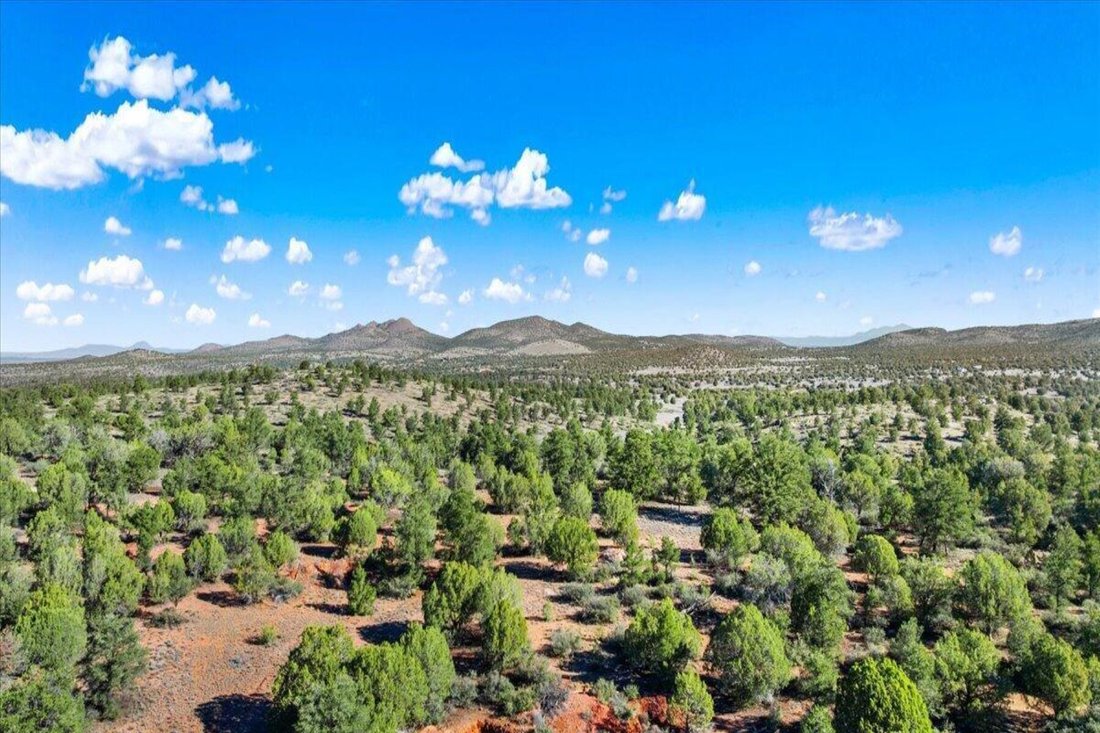 Land in Prescott, Arizona, United States 5 - 17893367