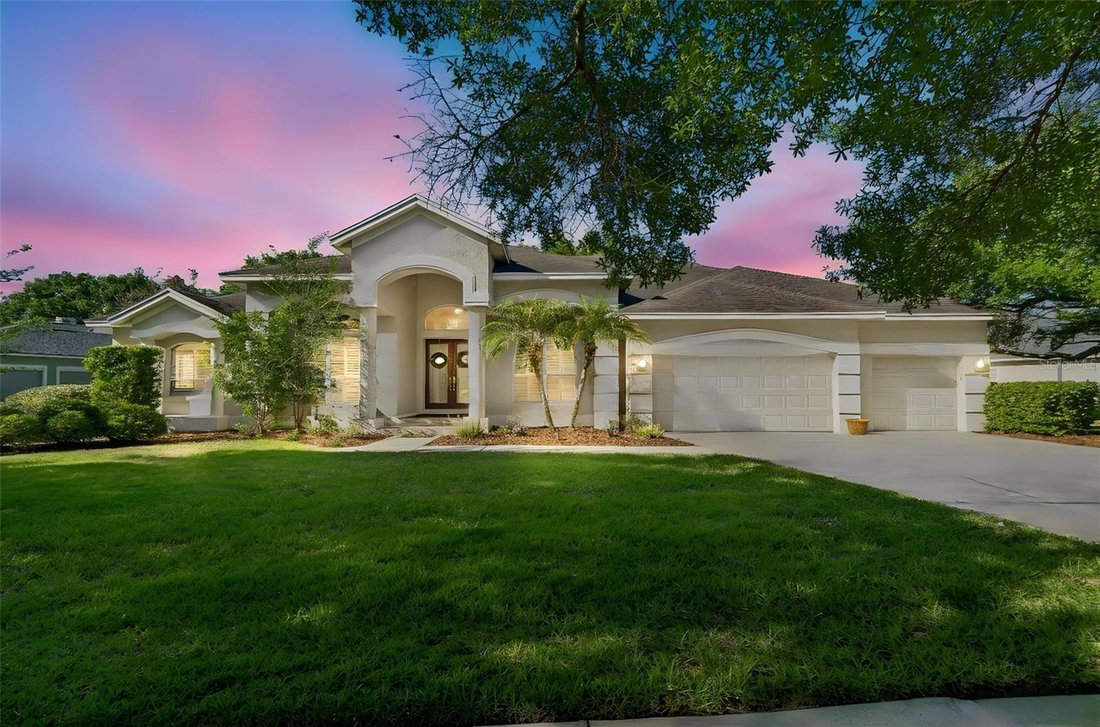 House in Land O' Lakes, Florida, United States 1 - 17893936