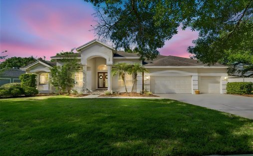 House in Land O' Lakes, Florida, United States 1