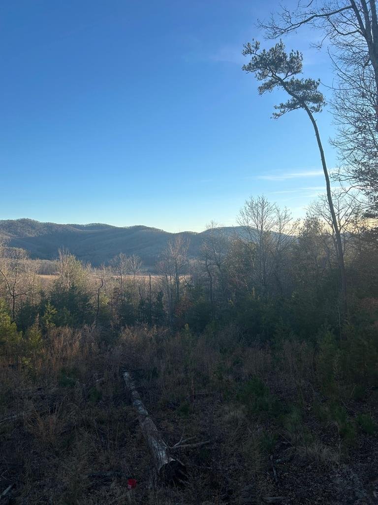House in Morganton, Georgia, United States 2 - 17893555
