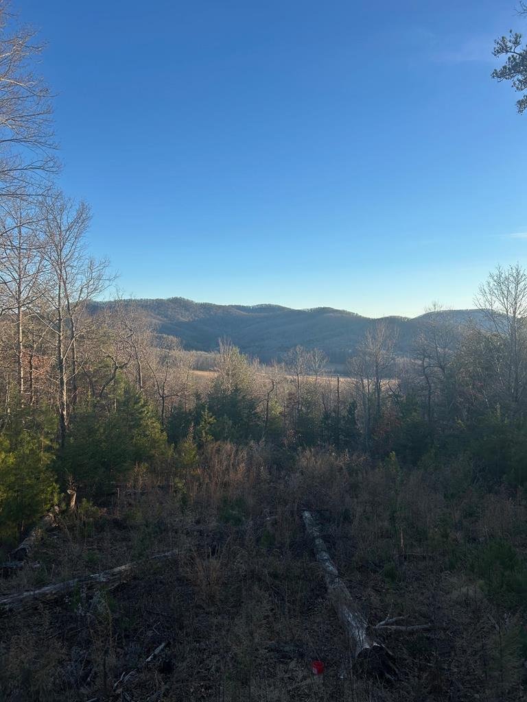 House in Morganton, Georgia, United States 3 - 17893555