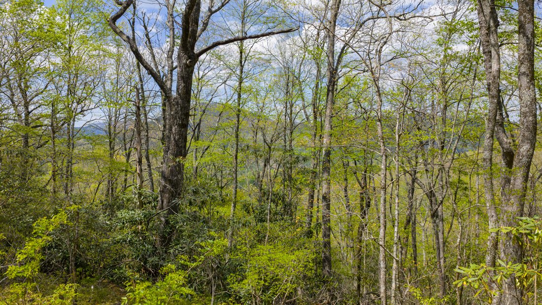 Land in Highlands, North Carolina, United States 5 - 17893351