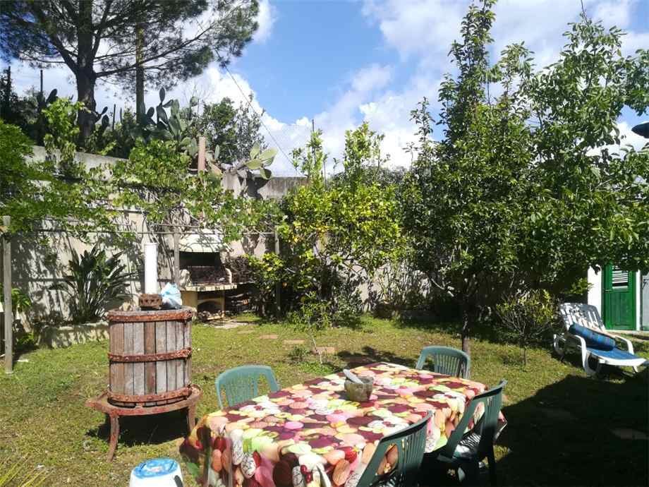 House in Porto Azzurro, Tuscany, Italy 2 - 10748542