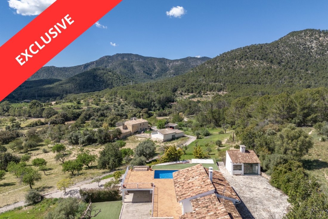 Finca in Santa Maria del Cami, Balearic Islands, Spain 1 - 17652667
