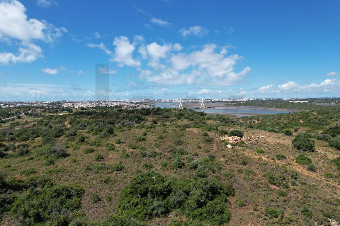 Farm Ranch in Estombar e Parchal, Algarve, Portugal 5 - 17894181