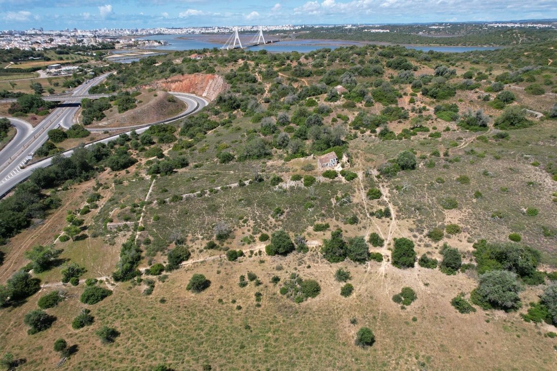 Farm Ranch in Estombar e Parchal, Algarve, Portugal 3 - 17894181