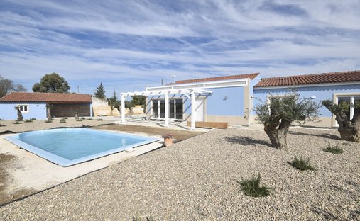 Azienda agricola a Sao Vicente do Paul e Vale de Figueira, Distretto di Santarém, Portogallo 1