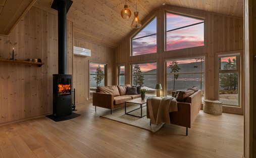Chalet in Treungen, Vestfold og Telemark, Norway 1