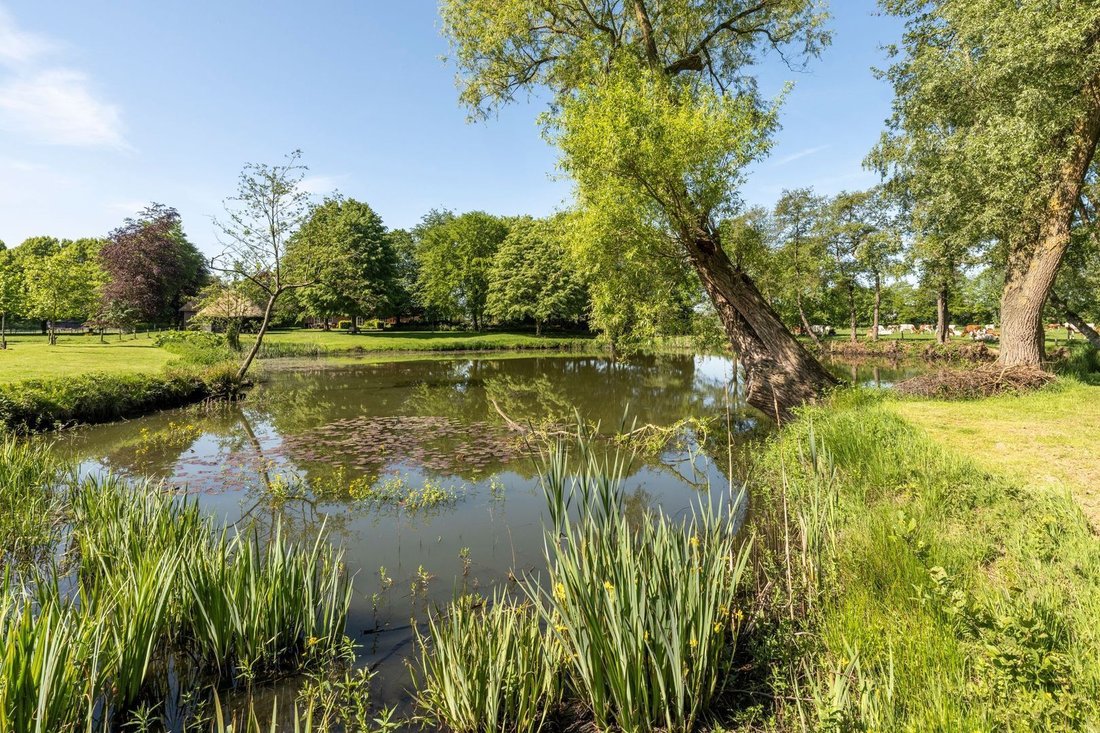Country House in Udenhout, North Brabant, Netherlands 3 - 17894517