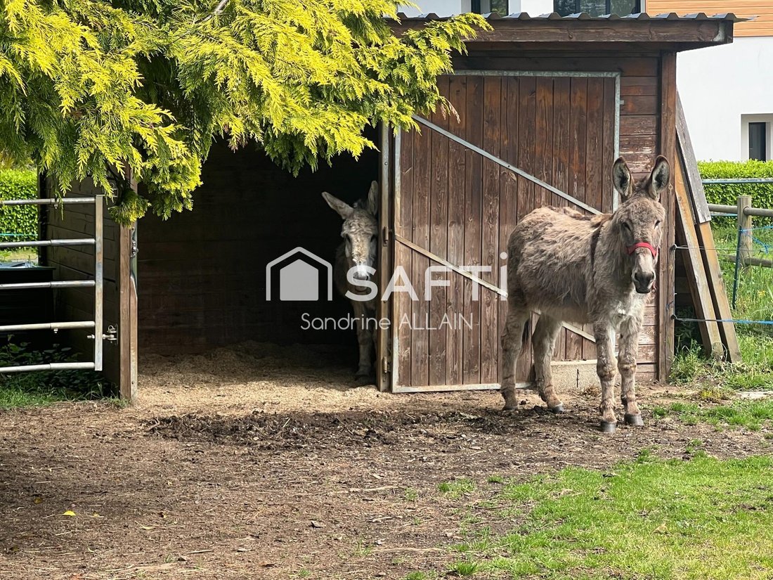 House in Saint Eloi-Les Rosaires, Plerin, France 3 - 17895125