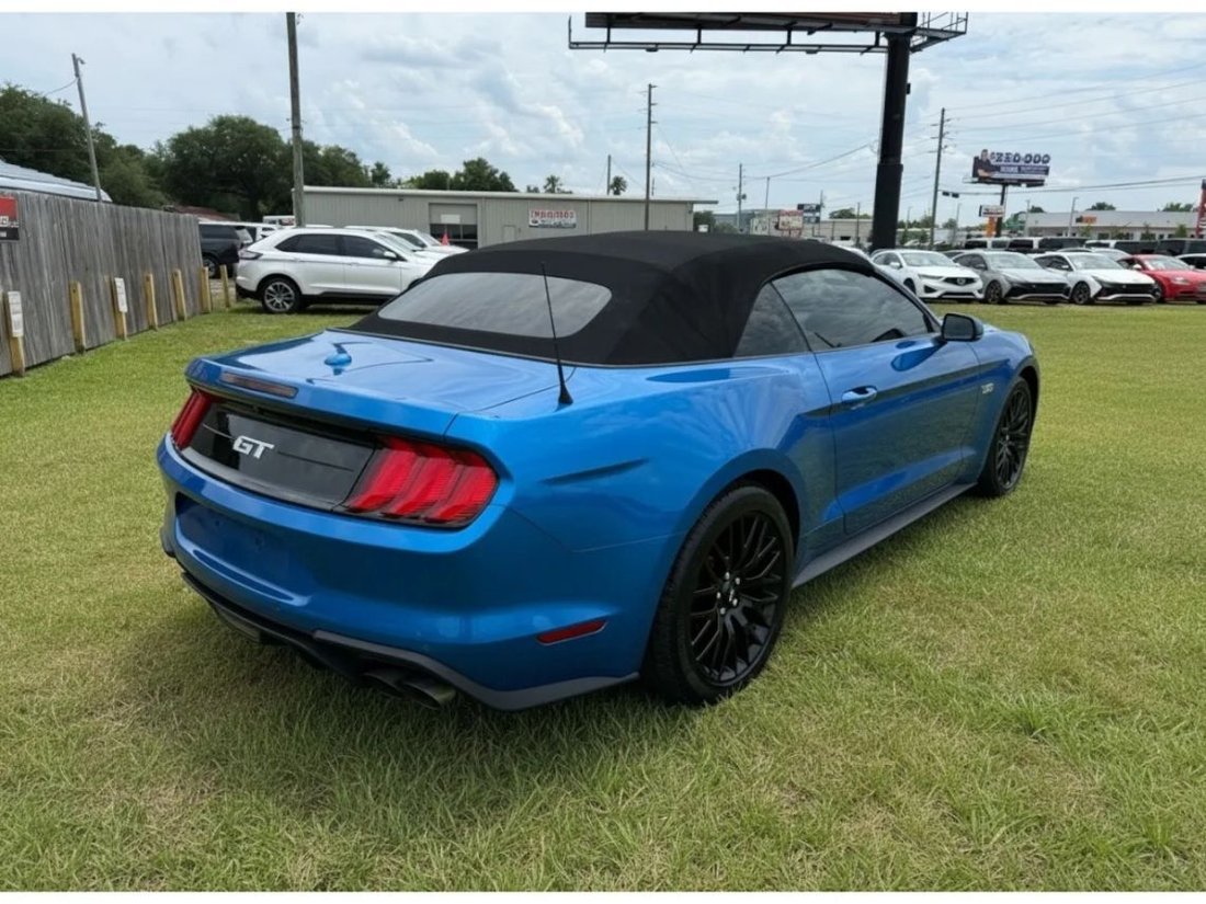 Cabriolet in Kissimmee, FL, United States 5 - 17894989