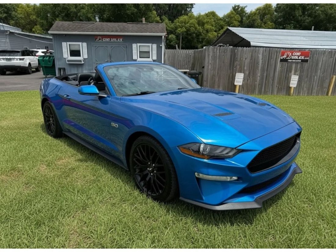 Cabriolet in Kissimmee, FL, United States 1 - 17894989