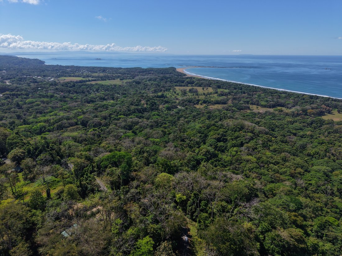 Land in Corredores, Corredores, Costa Rica 1 - 17895139