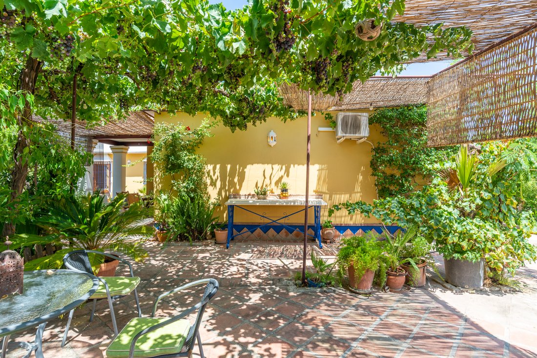 Country House in Coin, Andalusia, Spain 4 - 17895272