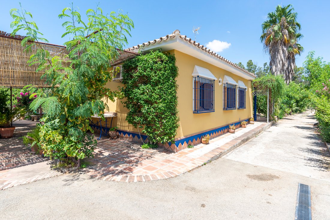 Country House in Coin, Andalusia, Spain 3 - 17895272