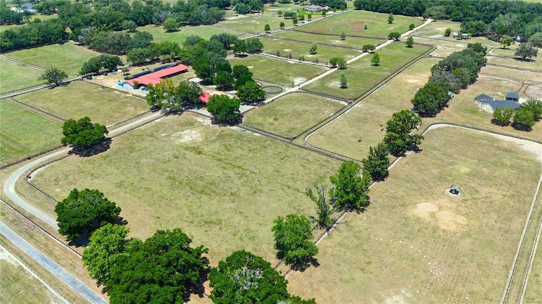 Farm Ranch in Morriston, Florida, United States 1 - 17898464