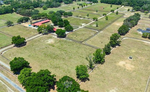 Land in Morriston, Florida, United States 1