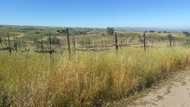 House in Livermore, California, United States 4 - 17898480