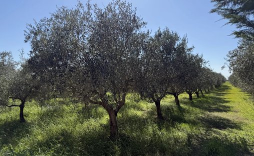 Casa di campagna a Arles, Provenza-Alpi-Costa Azzurra, Francia 1