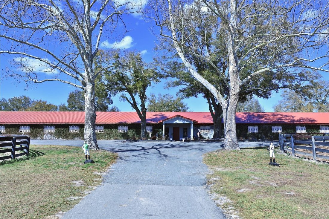 Farm Ranch in Morriston, Florida, United States 4 - 17898464