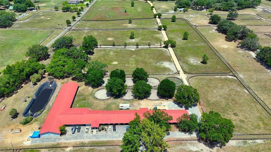 Farm Ranch in Morriston, Florida, United States 3 - 17898464