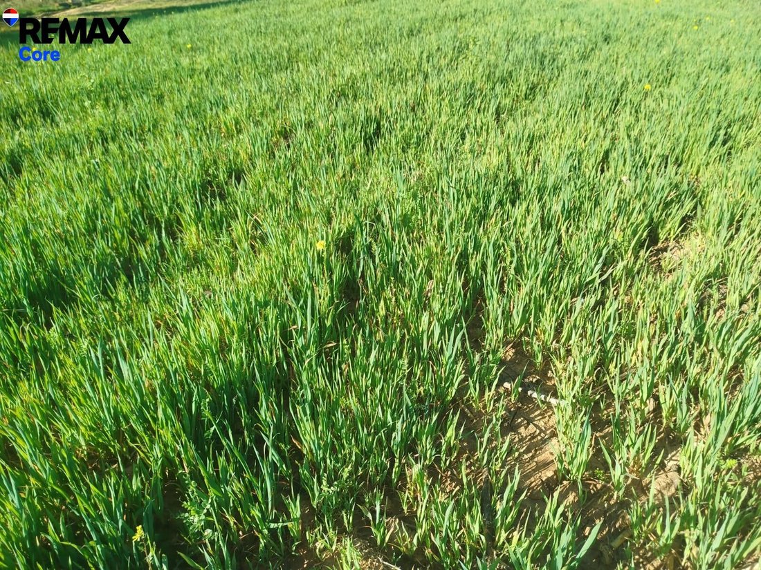 Land in Merida, Extremadura, Spain 5 - 17896905