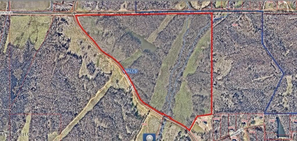 Land in Walls, Mississippi, United States 5 - 17900846