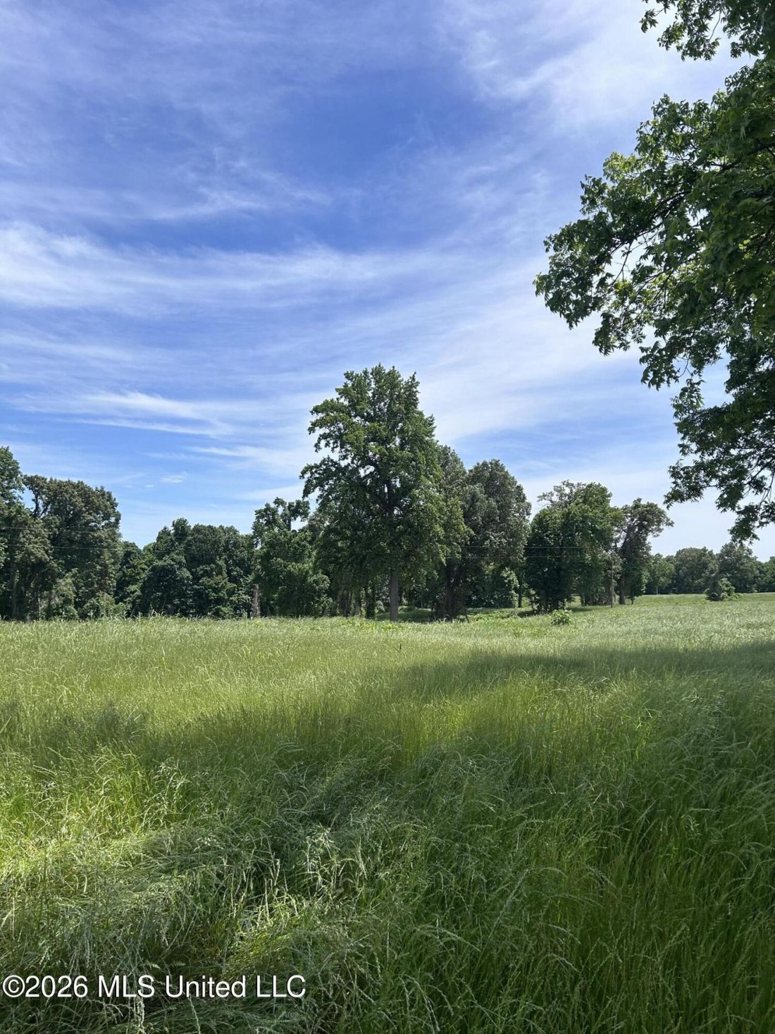 Land in Walls, Mississippi, United States 3 - 17900846
