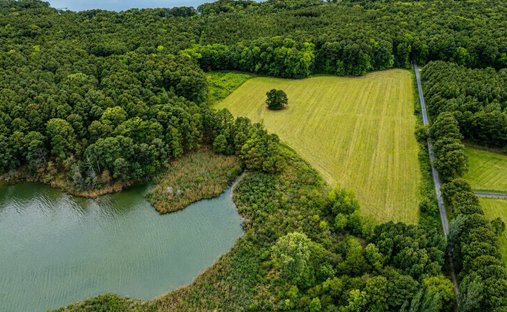 Land in Saint Michaels, Maryland, United States 1