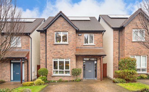 House in Dublin 18, County Dublin, Ireland 1
