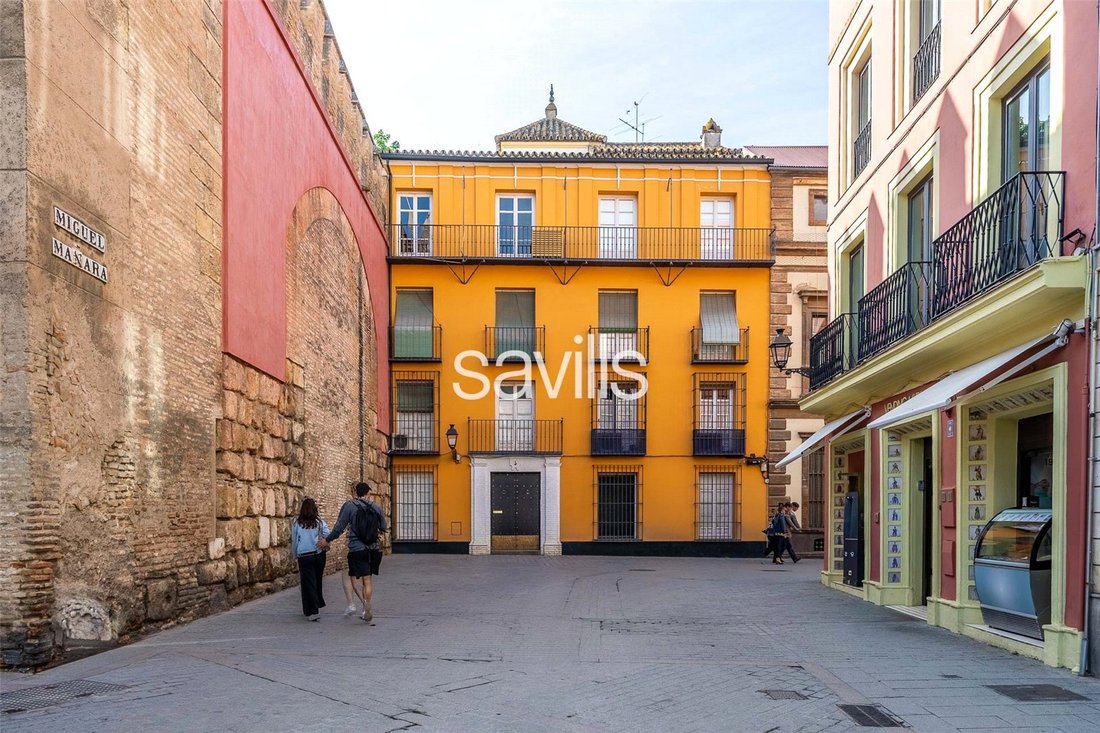 Apartment in Casco Antiguo, Seville, Spain 2 - 17897428