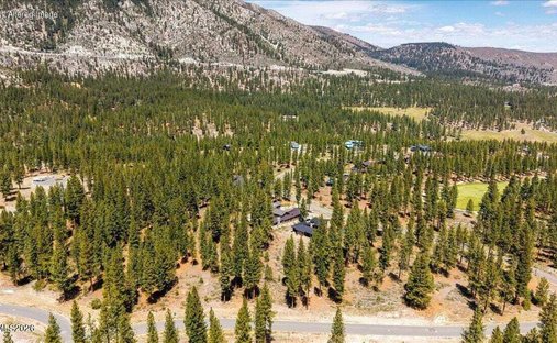 Land in Genoa, Nevada, United States 1