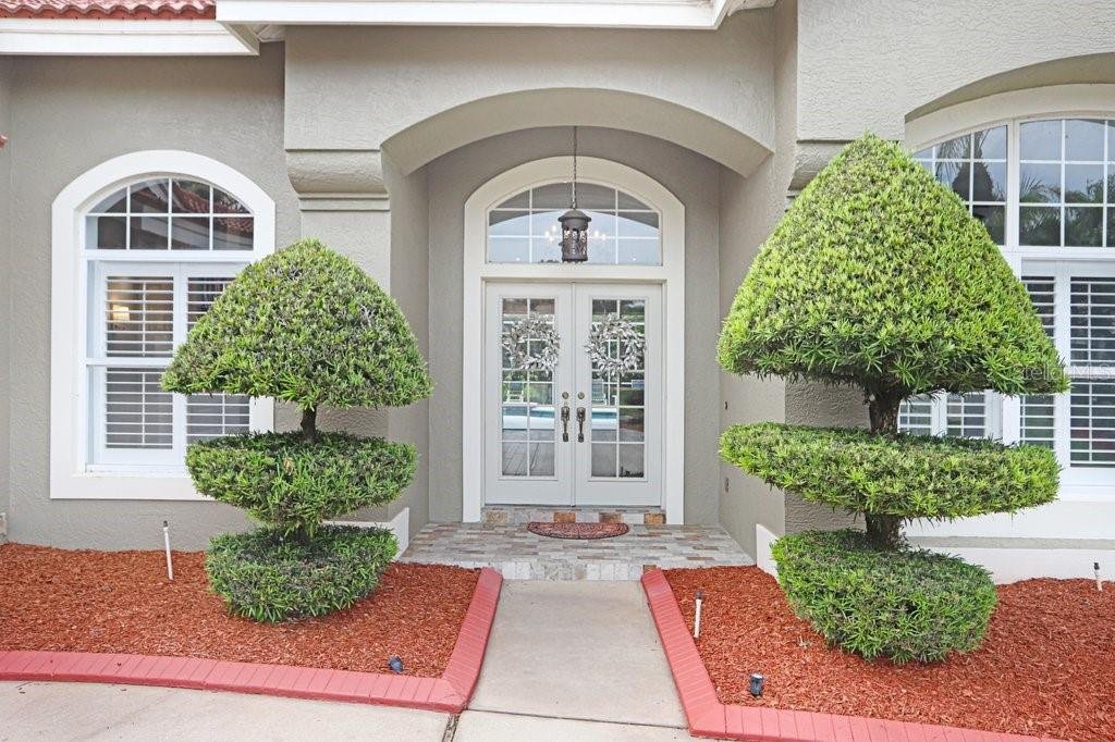House in Zephyrhills, Florida, United States 5 - 17898390