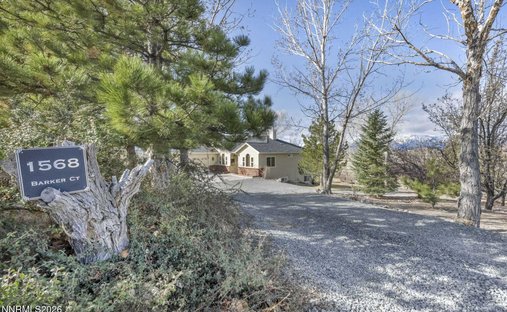 House in Gardnerville, Nevada, United States 1
