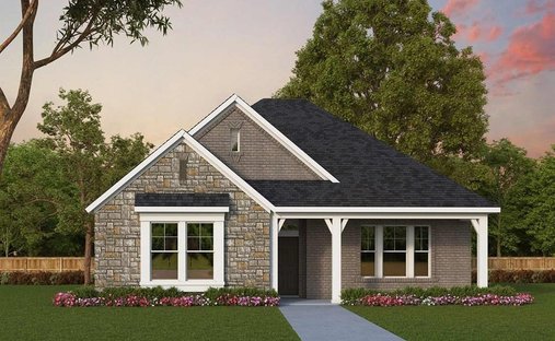 House in Arlington, Texas, United States 1