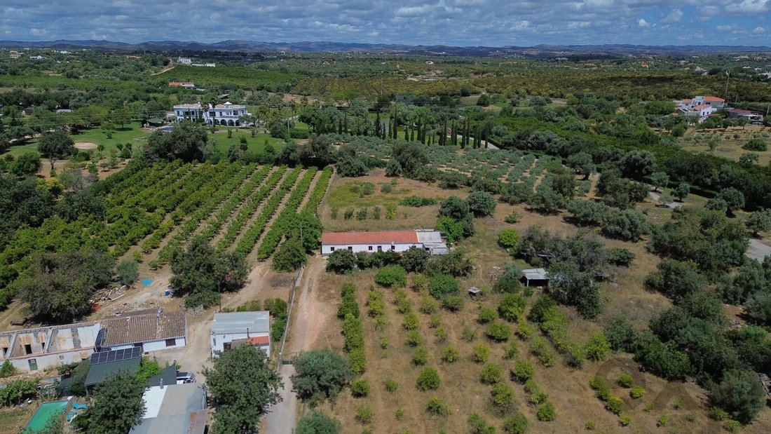 Farm Ranch in Tavira (Santa Maria e Santiago), Algarve, Portugal 4 - 17897099