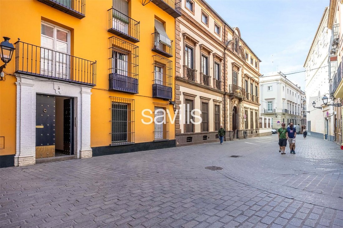 Apartment in Casco Antiguo, Seville, Spain 1 - 17897428