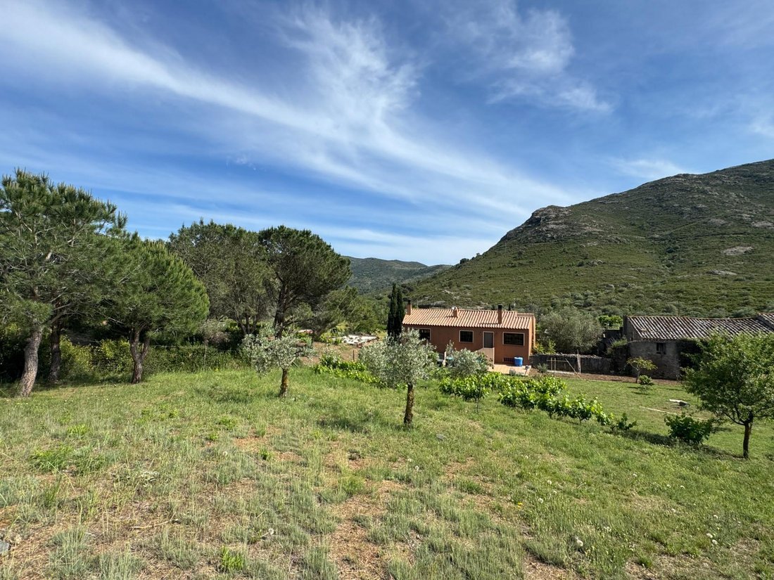 Villa in Llanca, Catalonia, Spain 2 - 17901708