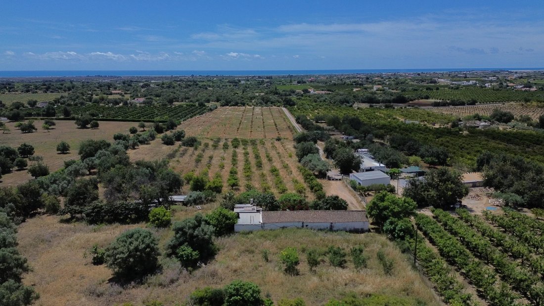 Farm Ranch in Tavira (Santa Maria e Santiago), Algarve, Portugal 1 - 17897099