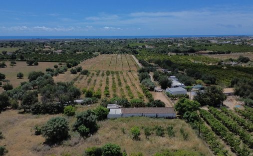 Farm Ranch in Tavira (Santa Maria e Santiago), Algarve, Portugal 1