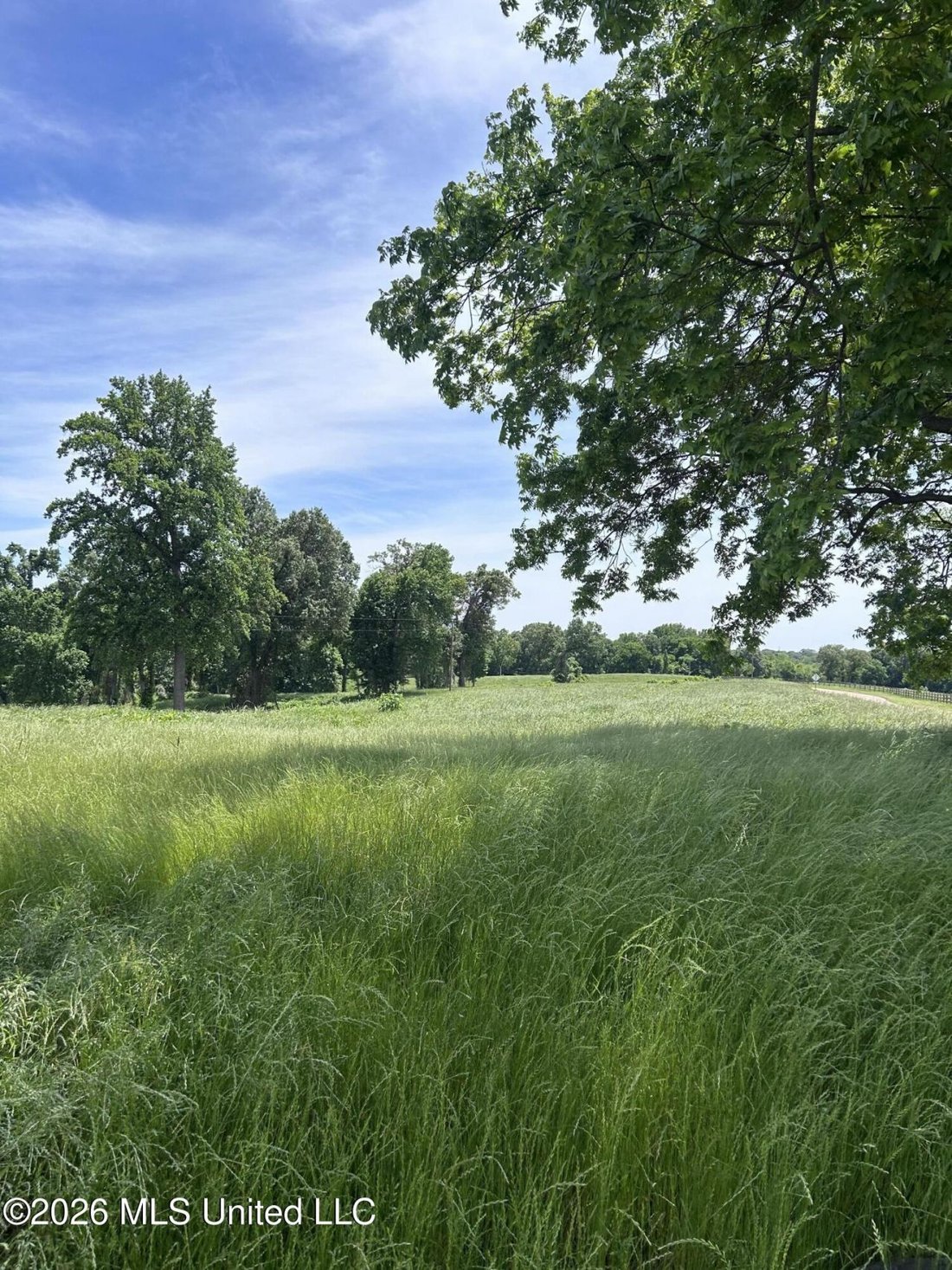 Land in Walls, Mississippi, United States 4 - 17900846