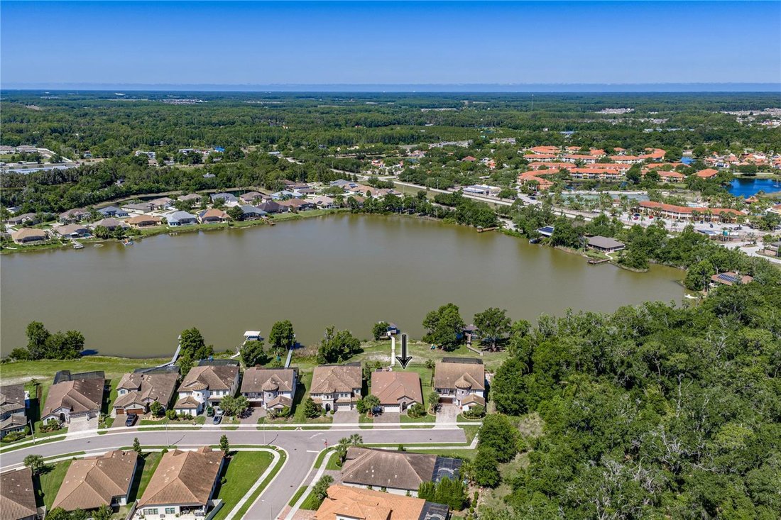 House in Land O' Lakes, Florida, United States 3 - 17895711