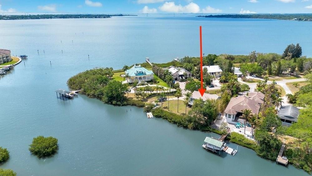 House in Oldsmar, Florida, United States 3 - 17895713