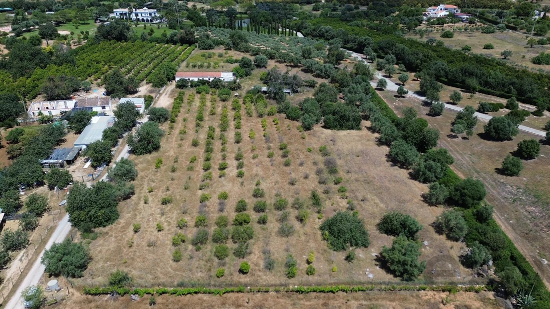Farm Ranch in Tavira (Santa Maria e Santiago), Algarve, Portugal 3 - 17897099