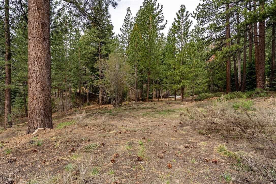 Land in Incline Village, Nevada, United States 2 - 17901142