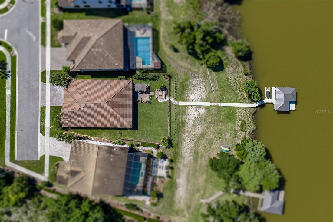 House in Land O' Lakes, Florida, United States 5 - 17895711