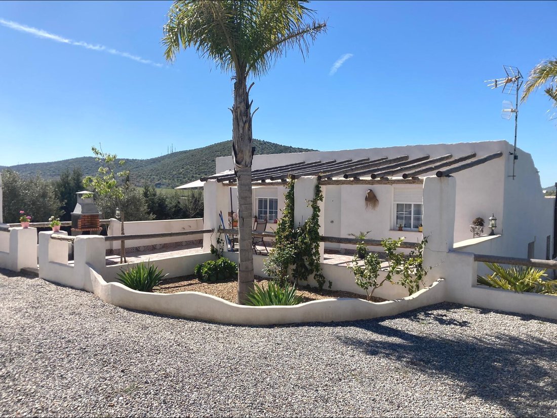 Villa in Los Santos de Maimona, Extremadura, Spain 2 - 17144781