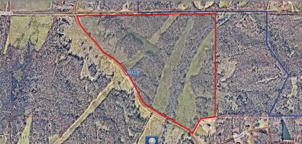 Land in Walls, Mississippi, United States 1 - 17900846